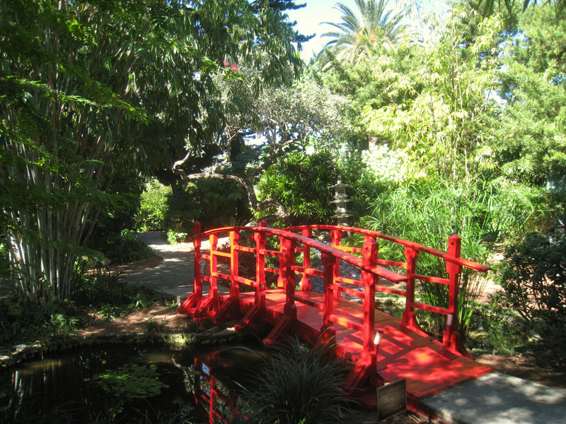 حديقة ميامي بيتش النباتية