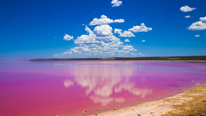 البحيرة الوردية .. أماكن غريبة في العالم