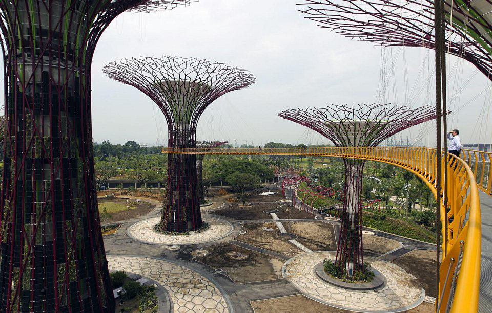 غابة أشجار اصطناعية شاهقة في سنغافورة