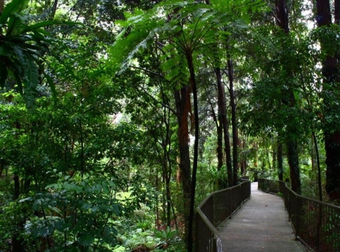 الحدائق النباتية الوطنية في مدينة كانبيرا أستراليا