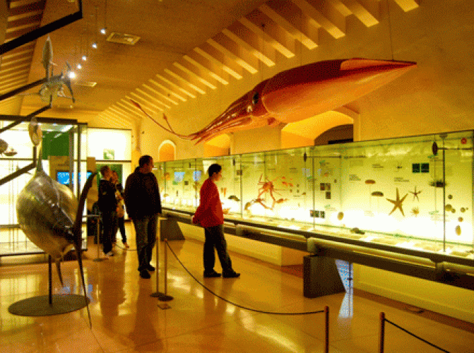 متحف الطبيعة والإنسان في جزيرة تنريفي