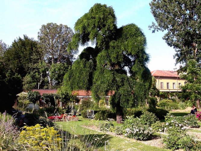 الحديقة النباتية بمدينة تورينو