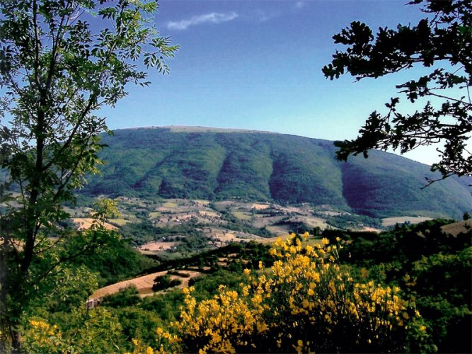 جبل سوباسيو في أسيزي
