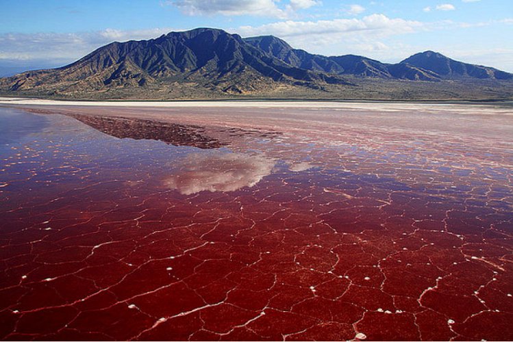 المياه الحمراء في بحيرة النطرون