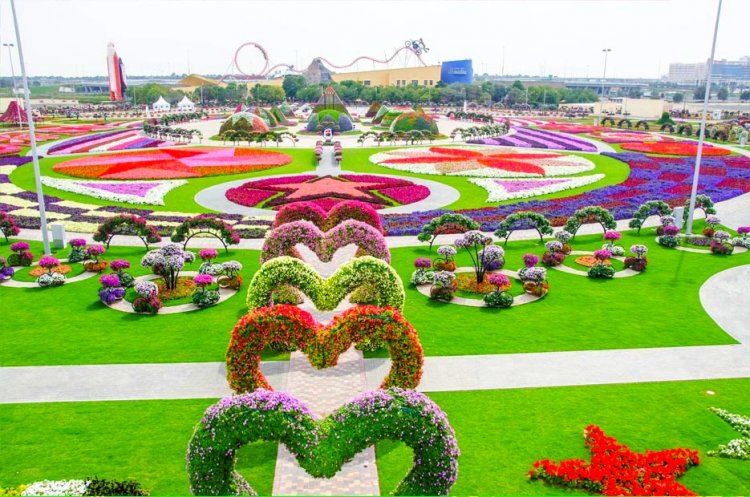 حديقة الزهور - دبي