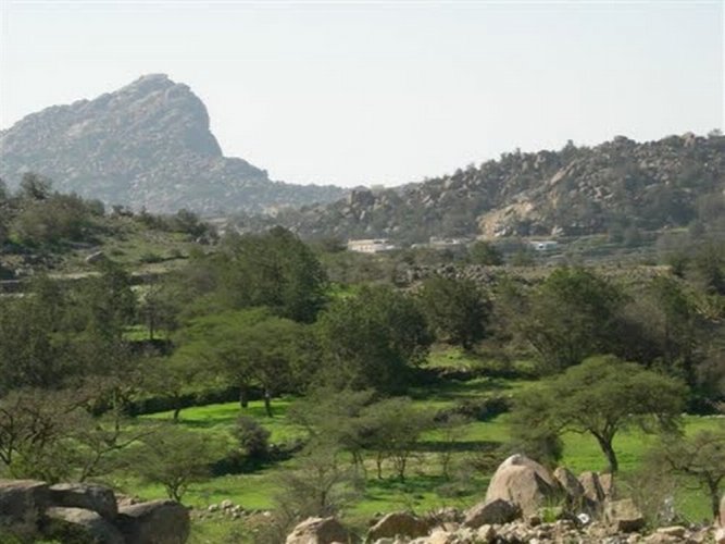 جبل حزنة, بلجرشي, منطقة الباحة, السعودية