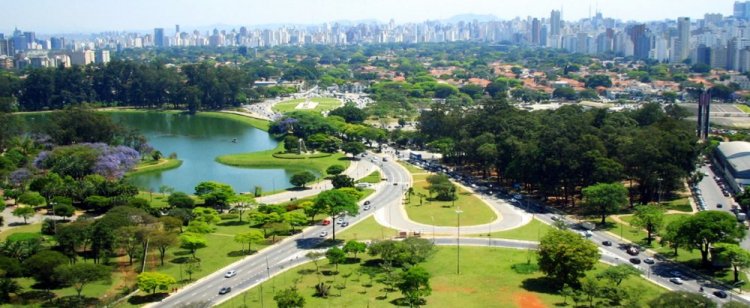 متنزه باركي دو إبيرابويرا في مدينة ساوباولو