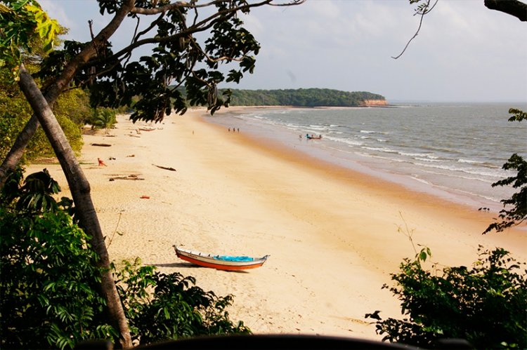 جزيرة ماراجو في البرازيل