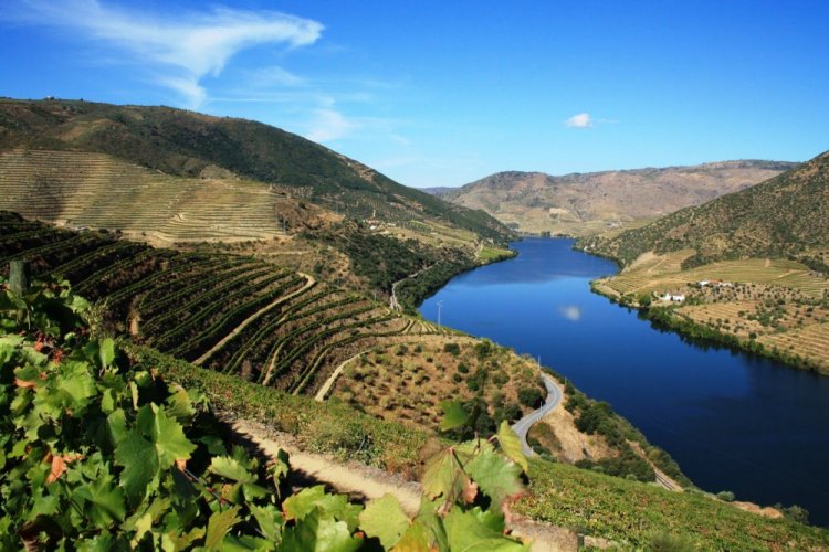 وادي دورو Douro River