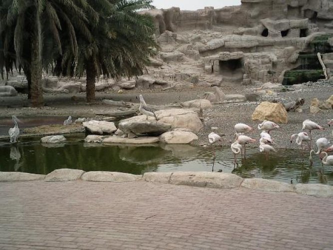 مركز حيوانات شبه الجزيرة العربية في الشارقة - الإمارات
