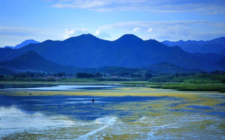 بحيرة تشينغهاي في الصين