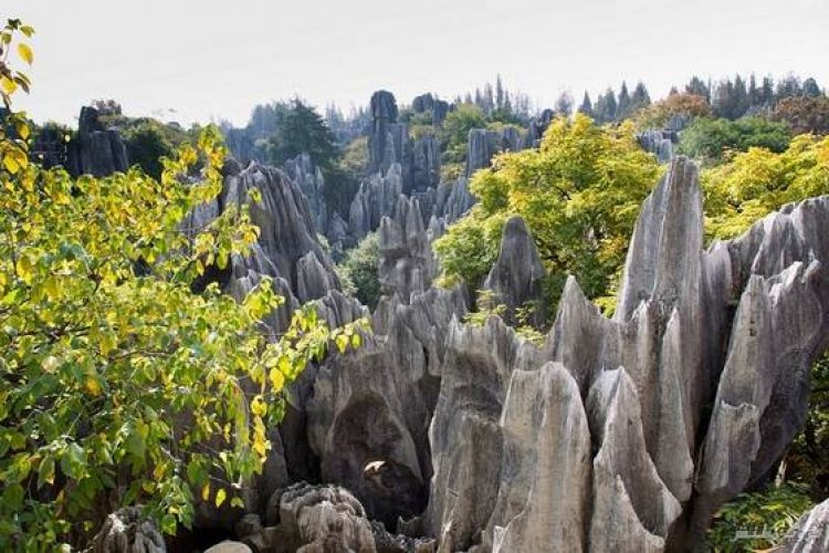 غابة الاحجار في الصين أحد العجائب الجيولوجية العالمية سائح