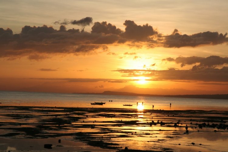 شواطئ بوهول في الفلبين