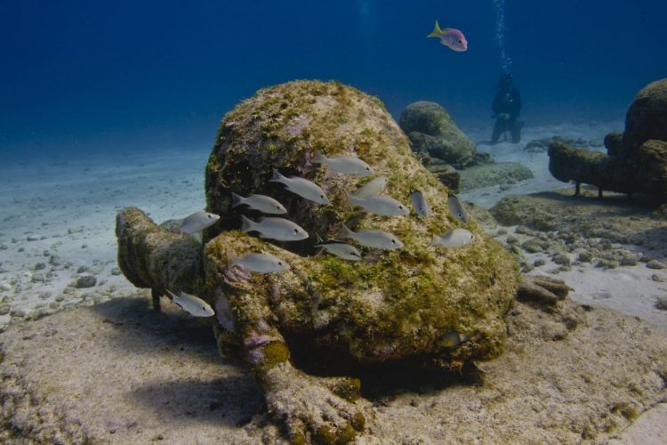 متحف الكانكون الغارق تحت الماء
