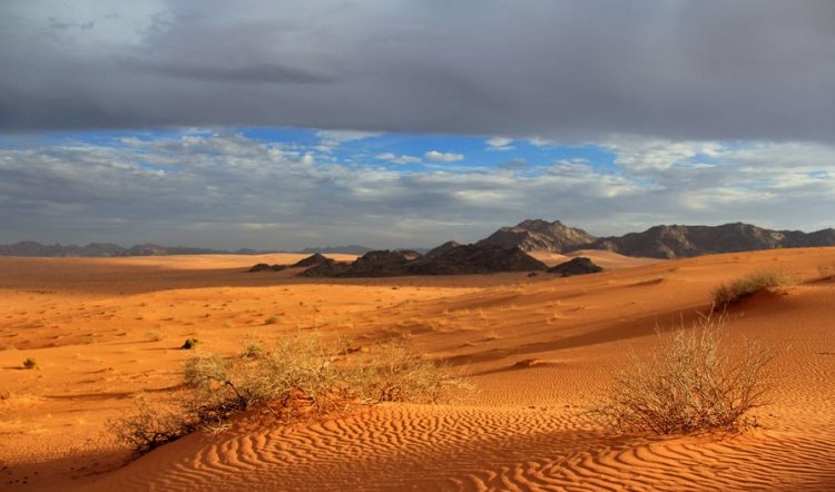 صحراء النفود الكبير بالسعودية