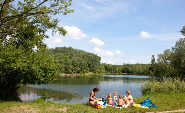 Lobau في فيينا - النمسا