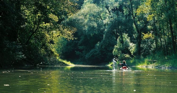 Lobau في فيينا - النمسا