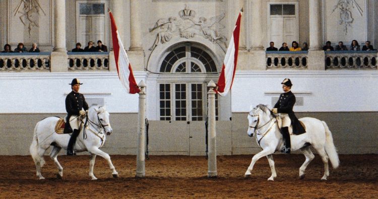 مدرسة الفروسية الملكية في فيينا - النمسا 