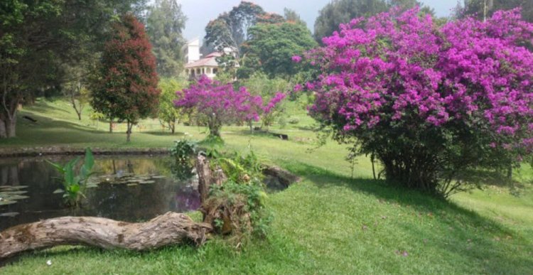 حديقة تشيبوداس العامة في اندونيسيا