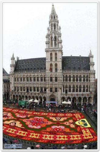الميدان الكبير في بروكسل - بلجيكا