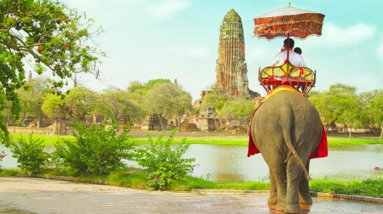 الفيلة وسيلة التنقل الشهيرة في تايلاند