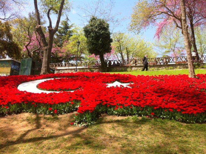 زهور حديقة اميرجان في تركيا