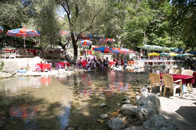 السياح يتناولون الطعام وسط النهر