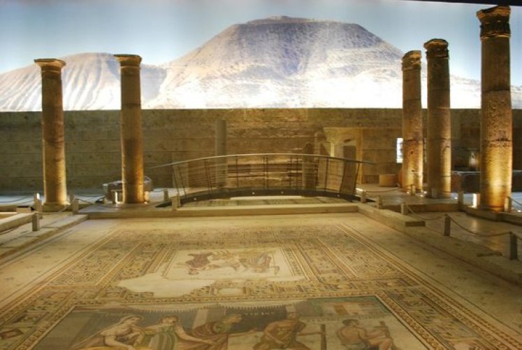 متحف فسيفساء زيوغما في عنتاب - تركيا