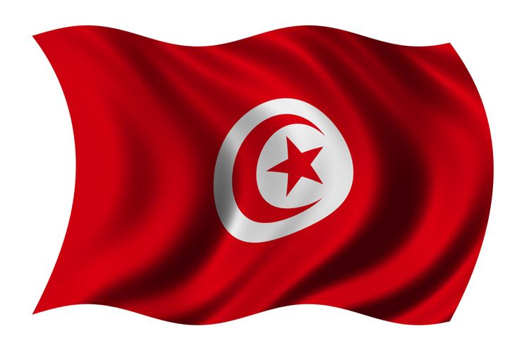 معلومات عن تونس