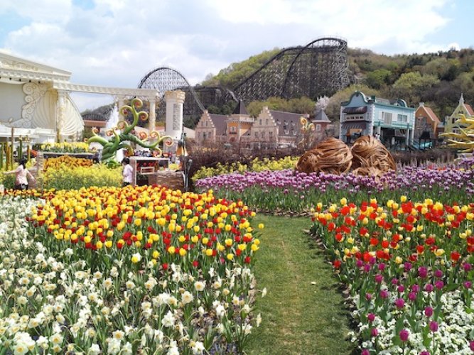 منتجع إيفرلاند حديقة ملاهي بيونغين في كوريا الجنوبية