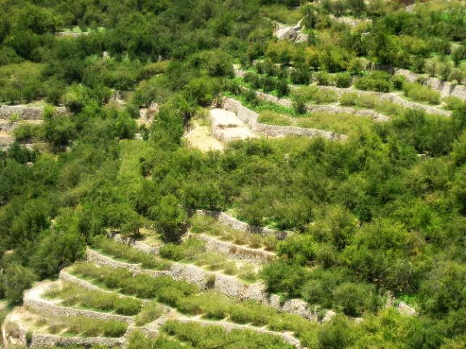 قرى الجبل الأخضر في سلطنة عمان