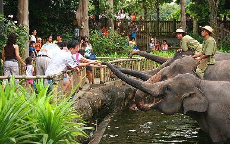 حديقة الحيوانات في سنغافورة