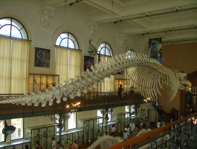 متحف عالم المحيطات