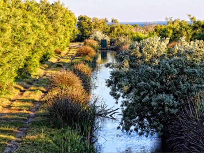 حديقة كارماغ الطبيعية الإقليمية Comargue Natural Regional Park