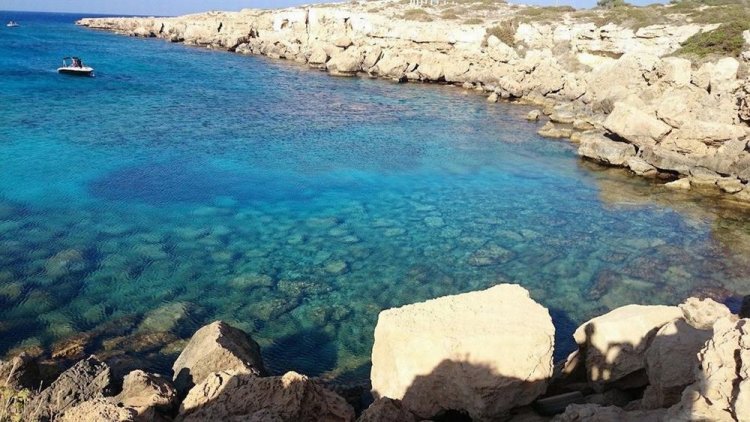 خليج شجرة التين في قبرص