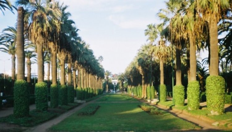 حديقة الجامعة العربية في كازابلانكا