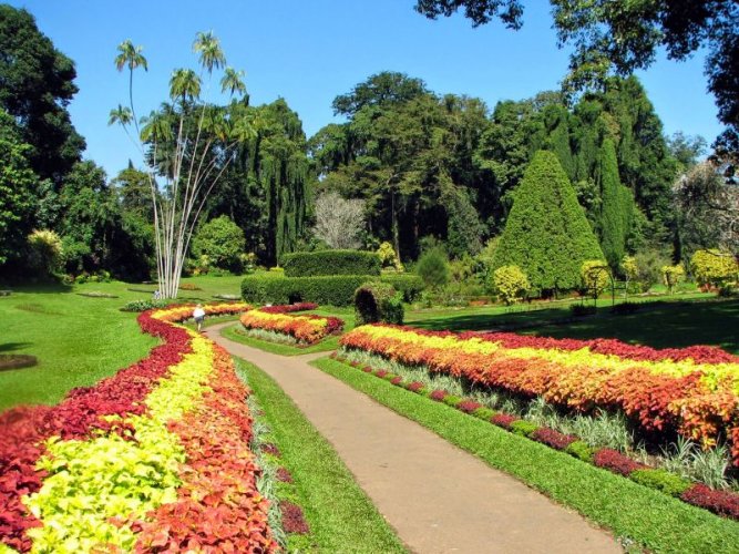 حديقة بيرادينيا النباتية في مدينة كاندي - سريلانكا