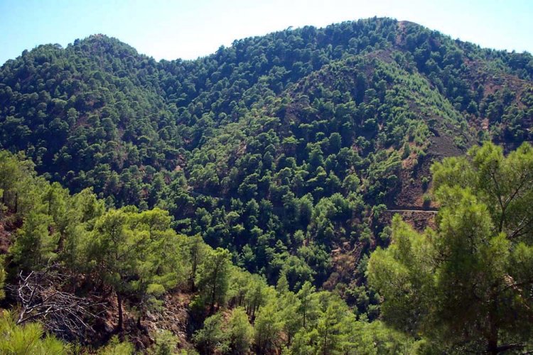 وادي قاديشا في لبنان