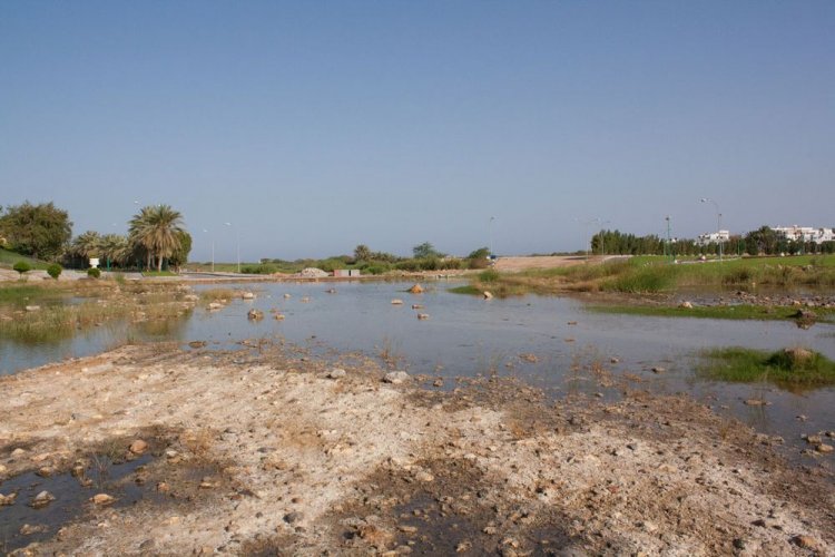 حديقة القرم الطبيعية في سلطنة عمان