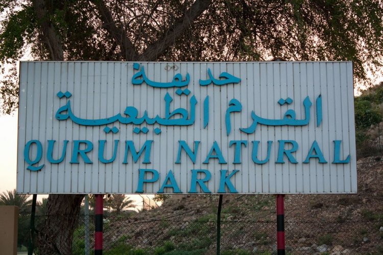 حديقة القرم الطبيعية في سلطنة عمان