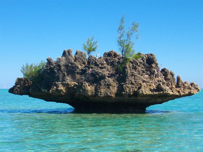 صخرة جزيرة موريشيوس