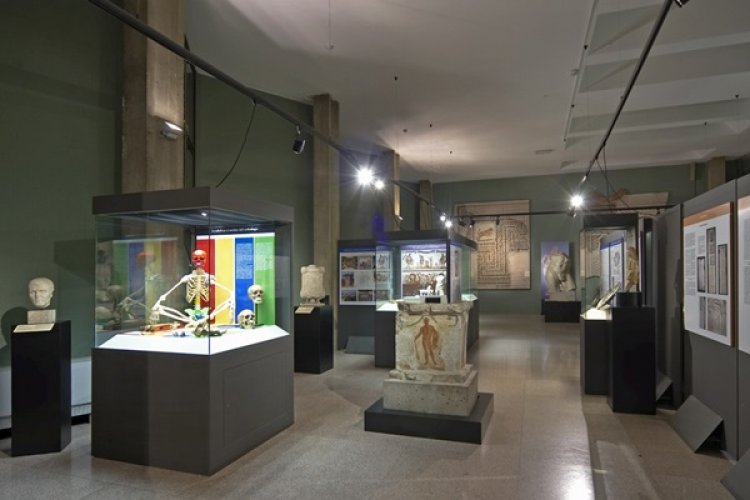 متحف ميلانو الآثري في ايطاليا