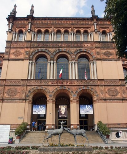 متحف ميلانو للتاريخ الطبيعي في ميلانو - إيطاليا