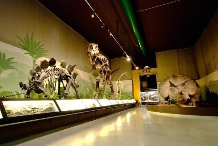متحف ميلانو للتاريخ الطبيعي في ميلانو - إيطاليا
