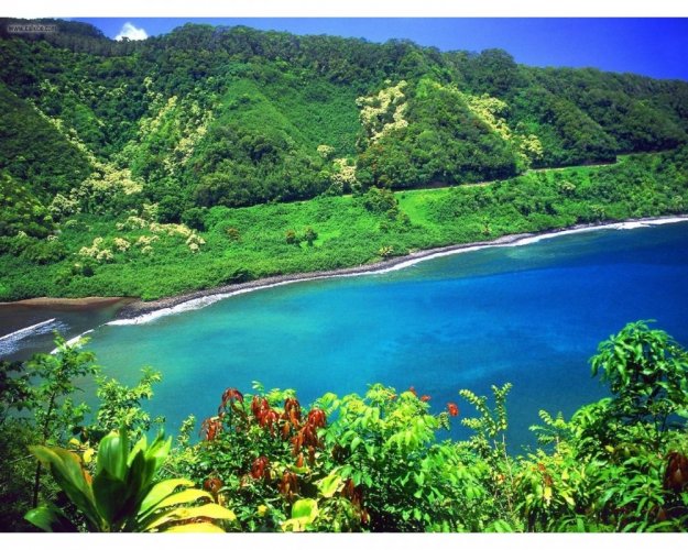 جزيرة ماوي في هاواي