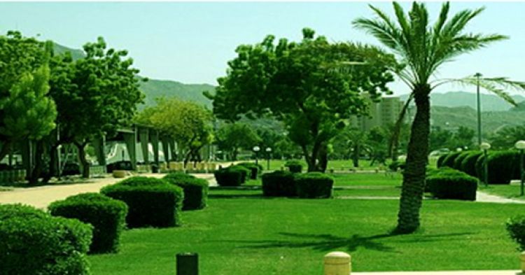 حديقة الأمير عبدالعزيز بن عياف في الرياض