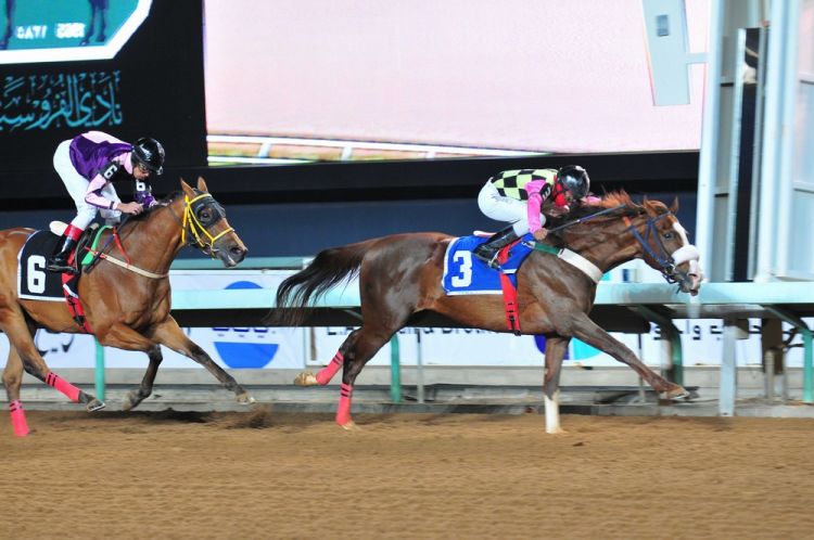 سباق الخيول في الرياض