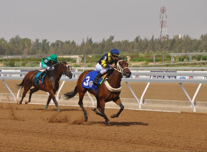 سباق الخيل في ميدان الملك خالد