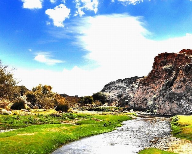 منتزه الطائف الوطني