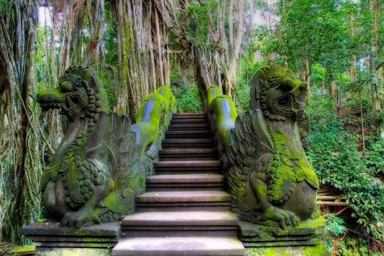 معابد في غابة القرود في بالي - إندونيسيا